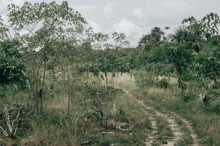 Iquitos: 4-Day Amazon Jungle Tour with Hotel Pickup