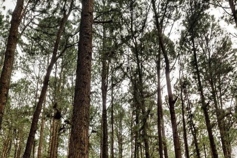 Kandy: Sir James Taylor’s Loolkandura Tea Heritage Hike