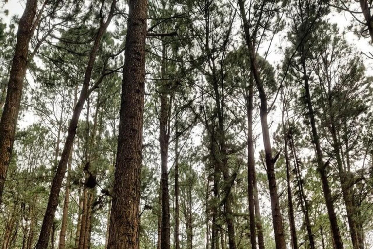 Kandy: Sir James Taylor’s Loolkandura Tea Heritage Hike