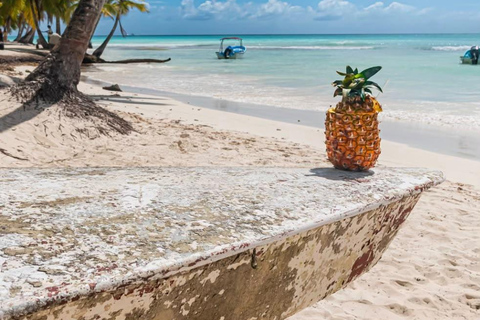 From Uvero Alto: Classic Catamaran Cruise to Saona Island