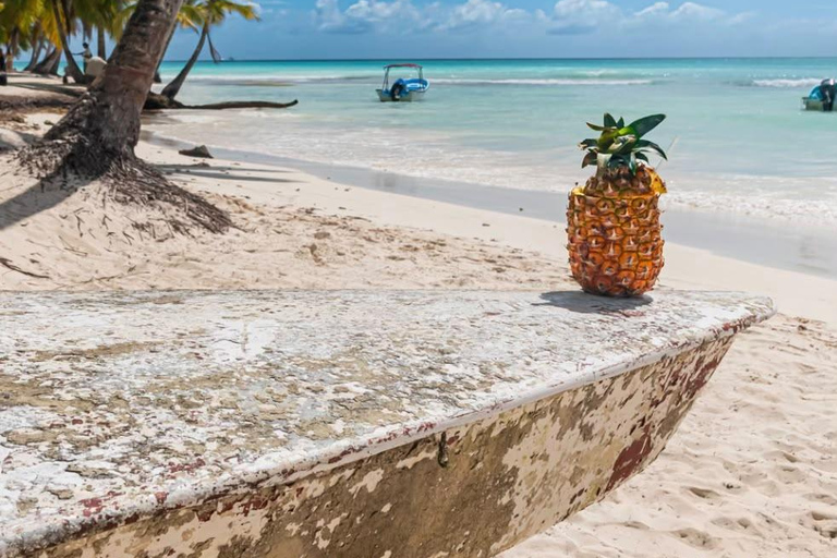 From Uvero Alto: Classic Catamaran Cruise to Saona Island