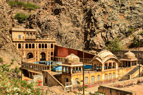 Jaipur: Morning Monkey Temple Guided Tour with Local Market