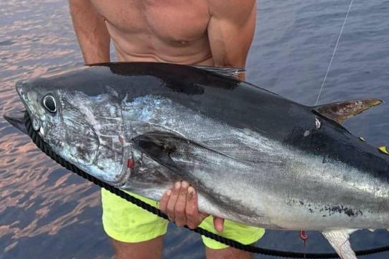 Montenegro: Big Game Fishing from Herceg-Novi