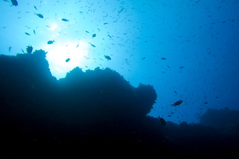 Duiken op Lanzarote - 2 begeleide duiken voor gebrevetteerde duikers