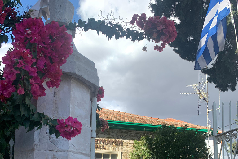 Larnaca hides Gem: Lefkara & Golden Donkey Farm Adventure