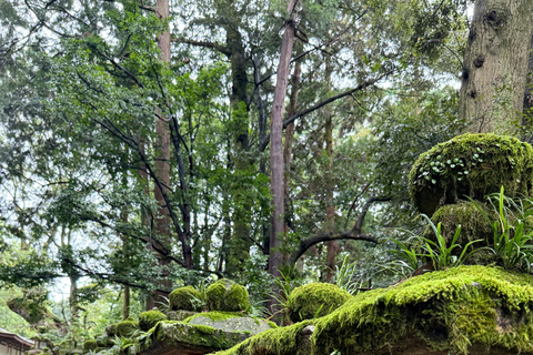 Nara: Deer, Temples, and Hidden Lanes Walking Tour Regular Meal Option