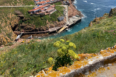 Peniche: Tour to Berlengas Island with Island Stop Morning Ferry