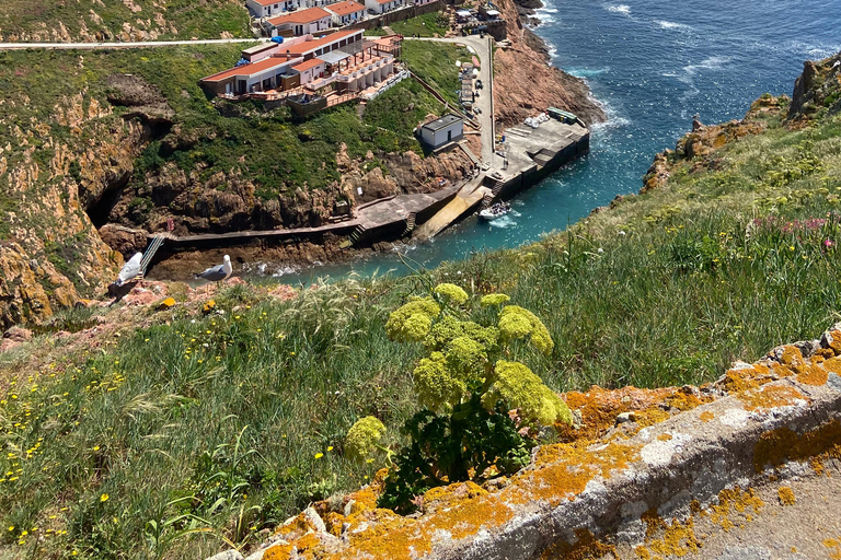 Peniche: Tour to Berlengas Island with Island Stop Morning Ferry