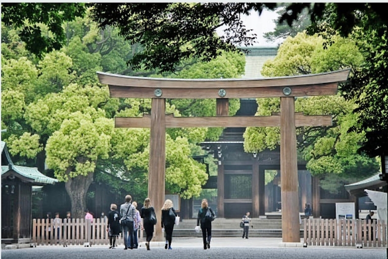 1 jour de visite de Tokyo : Personnalisable (jusqu'à 6 personnes)Excursion d'une journée à Tokyo : Recommandé et personnalisé (jusqu'à 5 personnes)