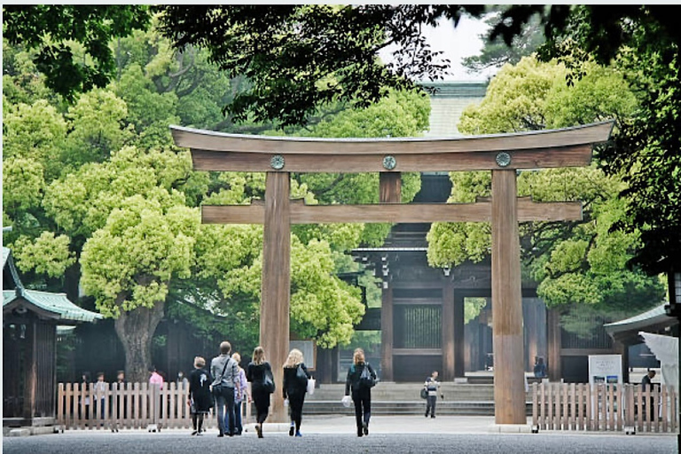 1 Tag Tokio-Tour: Anpassbar (bis zu 6 Personen)Tagesausflug nach Tokio: Empfohlen und angepasst (bis zu 5 Personen)