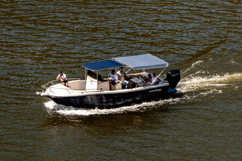 Douro: Douro River Train and Boat Tour with Lunch