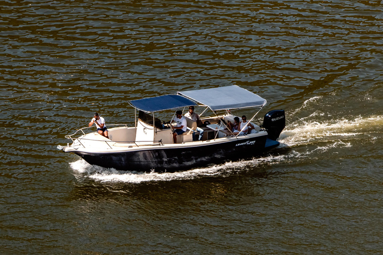 Douro : Tour en bateau et en train sur le fleuve Douro avec déjeuner