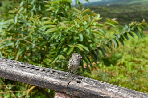 Venture into the nature and history of San Cristóbal