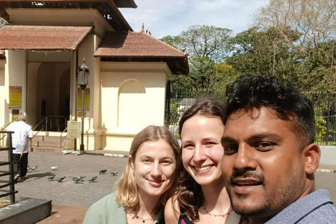 Kandy: Ramboda Falls, Tea Plucking & Tasting