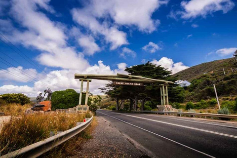 Great Ocean Road Premium - Excursão reversa de ônibus de luxo 13 PAX MAX