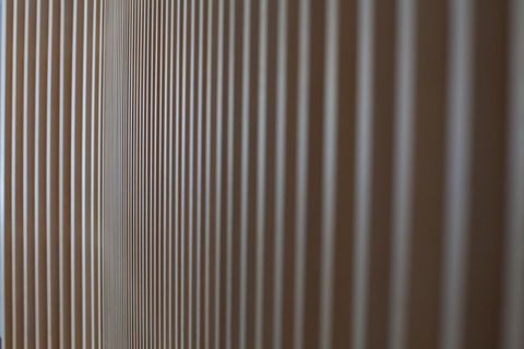 Rovaniemi: Alvar Aalto Architecture Guided Walking Tour