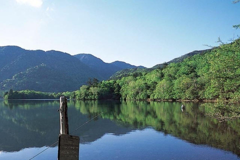 From Tokyo: Nikko World Heritage Sight Full Day Private Tour