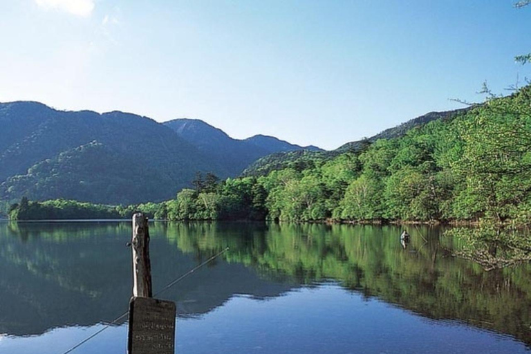 From Tokyo: Nikko World Heritage Sight Full Day Private Tour