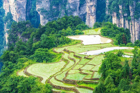 Private Zhangjiajie: Glass Bridge, Terraces & Avatar