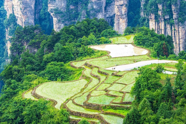 Private Zhangjiajie: Glass Bridge, Terraces & Avatar