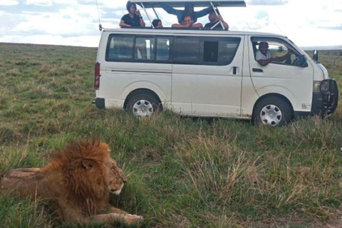 Day Tour to Tsavo East National Park
