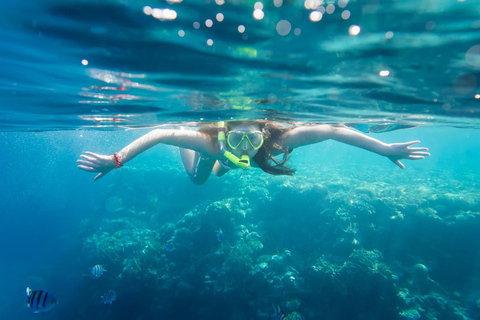 La Paz: Coral Farm Snorkel Tour