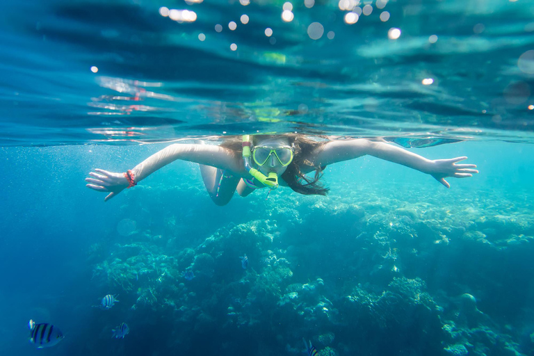 La Paz: Coral Farm Snorkel Tour