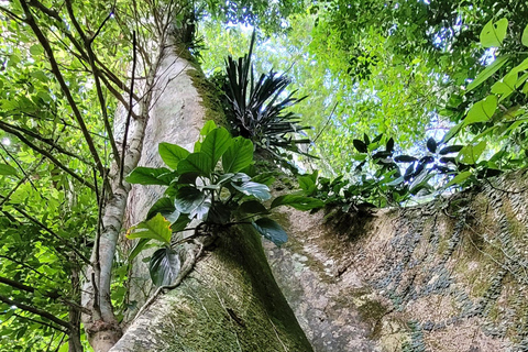 CAMINHO DO OURO - Geführte Tour durch den Atlantischen Wald, Wasserfälle und Geschichten.