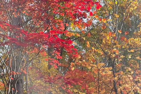 Hokkaido: Half Day Backcountry Hiking Tour with Onsen Hokkaido:Half Day Backcountry Hiking Tour with Onsen