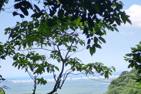 São Paulo: Waterfalls Hike, Beach View, & Chairlift Tour