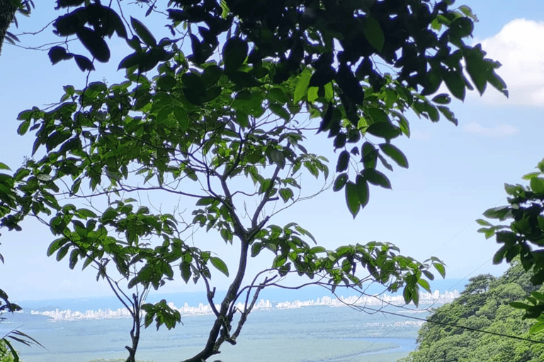 São Paulo: Waterfalls Hike, Beach View, & Chairlift Tour