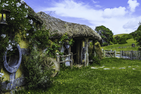 Private Day Tour: Waitomo Glowworms & Hobbiton Movie Set