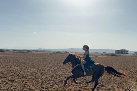 Hurghada: Horse Riding in the Desert & Beach Experience 1 HR Desert Horse Riding Experience without transfer