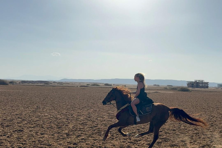 Hurghada: Horse Riding in the Desert & Beach Experience 1 HR Desert Horse Riding Experience without transfer