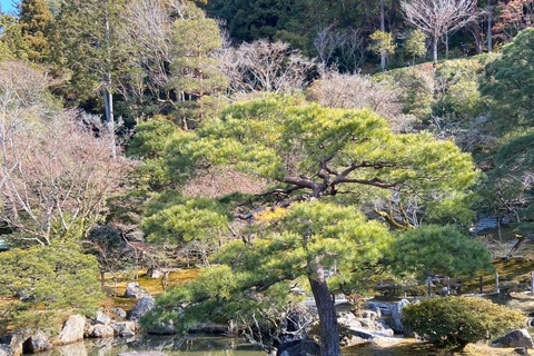 E-Bike Tour in Kyoto with Asuka, Japanese graduate student