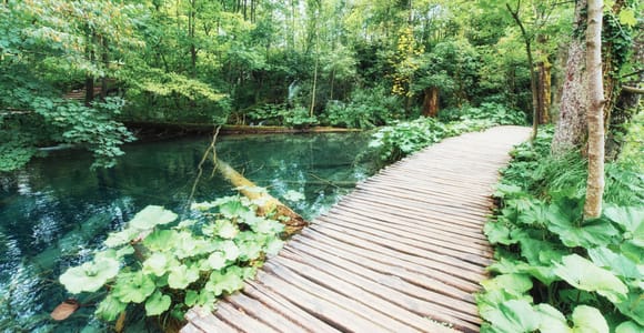 Ab Ljubljana: Tagestour zum Nationalpark Plitvicer Seen