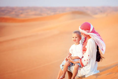 Dubai: Family Friendly Desert Tour & Flamingo Lake Option