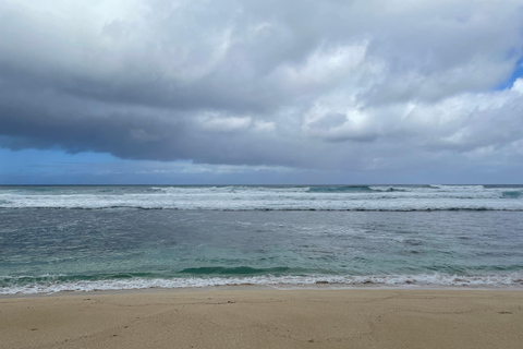 Oahu: Avontuurlijke Noordkust Tour met LunchOahu: Avontuurlijke Noordkust Tour