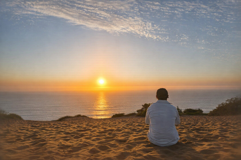 Santiago: Valparaiso, Llama Vineyard & Concon Dune Sunset