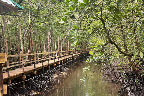 Zanzibar: Spice Farm, Stone Town or Jozani Forest with lunch Spice Farm Experience with lunch – (No Transport)