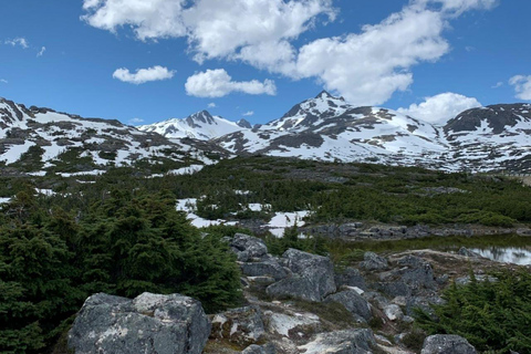 Wycieczka po mieście i górach Skagway