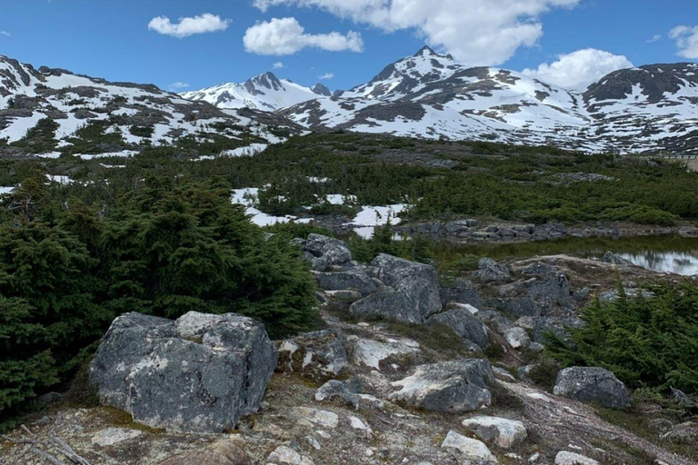 Wycieczka po mieście i górach Skagway