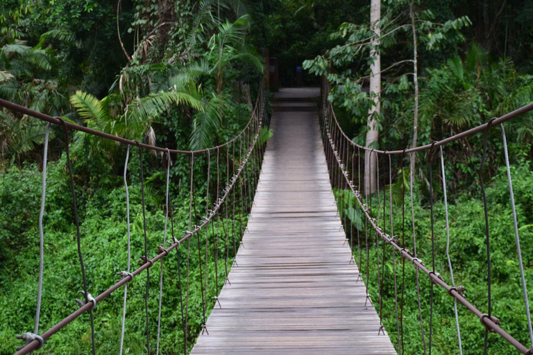 البرية: جولة مشي لمسافات طويلة ومشاهدة النجوم في خاو ياي لمدة يومينجولة المجموعات الصغيرة