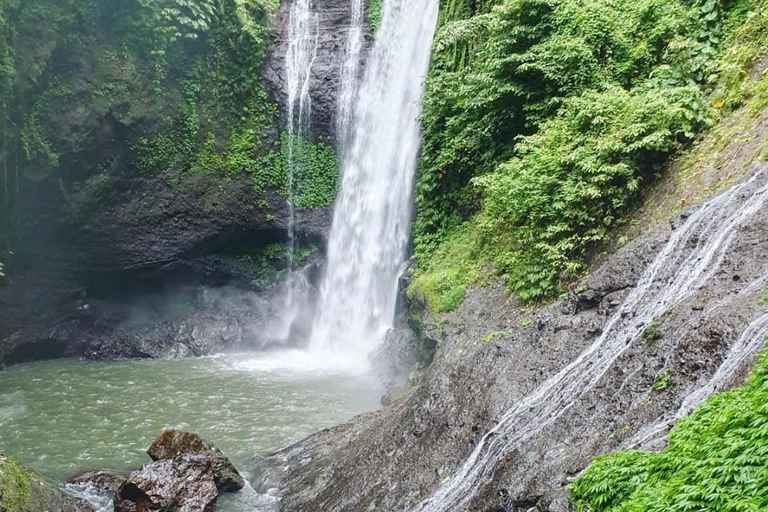 Munduk/Lovina: Wasserfall, Schnorcheln & DelfinbeobachtungstourStandard Tour mit Hoteltransfer von Munduk/Lovina