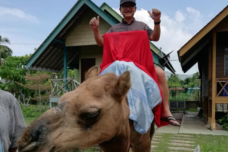 Penang: Balik Pulau Batik Painting &amp; Mini Zoo Petting