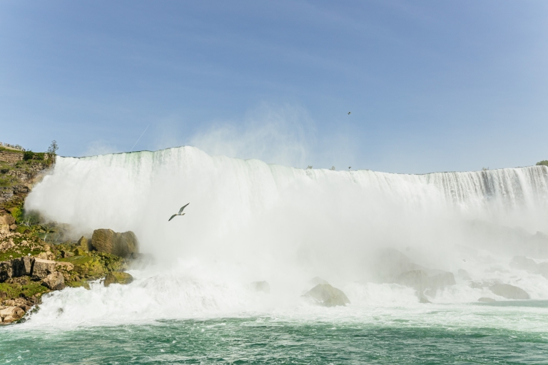 Depuis New York : excursion aux chutes du NiagaraTransport uniquement