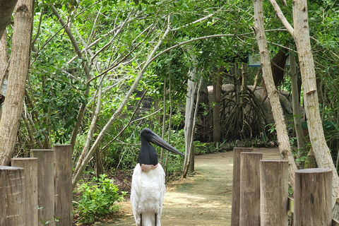 CARTAGENA: EXCURSION Baru + Rosary Island + Luminous Plankton + lunch