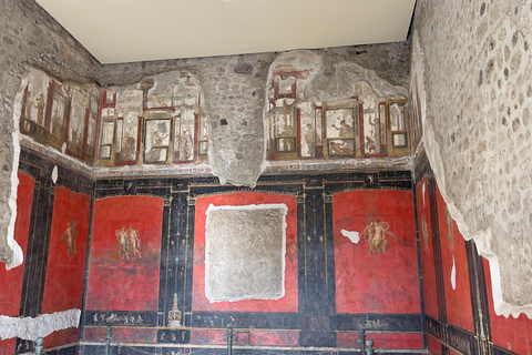 Pompeii Guided Tour