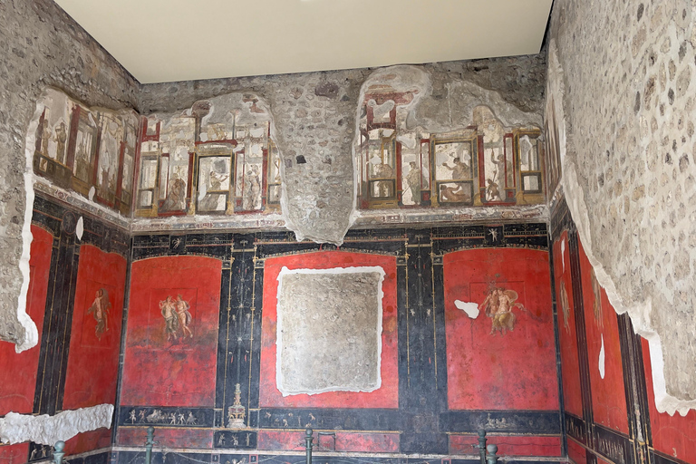 Pompeii Guided Tour