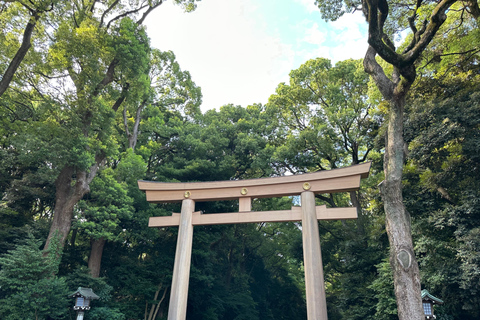 Tokyo: Meiji Jingu Shrine and Shinto Culture Walking Tour Meiji Shrine Walking Tour